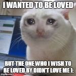 Crying Cat | I WANTED TO BE LOVED BUT THE ONE WHO I WISH TO BE LOVED BY DIDN'T LOVE ME ): | image tagged in crying cat | made w/ Imgflip meme maker