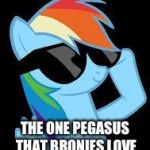 Rainbow Dash (glasses) | RAINBOW DASH THE ONE PEGASUS THAT BRONIES LOVE AND OTHERS KNOW | image tagged in rainbow dash glasses | made w/ Imgflip meme maker