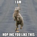Jumping Sheep | I AM HOP ING YOU LIKE THIS | image tagged in jumping sheep | made w/ Imgflip meme maker