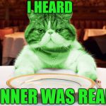 RayCat's hungry | I HEARD DINNER WAS READY | image tagged in raycat hungry,memes | made w/ Imgflip meme maker
