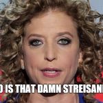 https://en.wikipedia.org/wiki/Debbie Wasserman Schultz | WHO IS THAT DAMN STREISAND??!! | image tagged in https//enwikipediaorg/wiki/debbie wasserman schultz | made w/ Imgflip meme maker