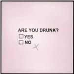 drunk yes no