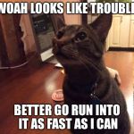 OMG | WOAH LOOKS LIKE TROUBLE, BETTER GO RUN INTO IT AS FAST AS I CAN | image tagged in omg | made w/ Imgflip meme maker