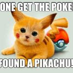 Pikachu cat | SOMEONE GET THE POKEDEX!!! I FOUND A PIKACHU!!! | image tagged in pikachu cat | made w/ Imgflip meme maker