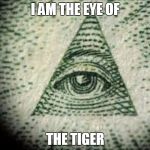 The eye of the tiger | I AM THE EYE OF THE TIGER | image tagged in iluminati,first world problems,cute,funny | made w/ Imgflip meme maker