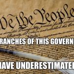 We The People | THE BRANCHES OF THIS GOVERNMENT HAVE UNDERESTIMATED | image tagged in constitution,america,united states,god bless america,memes,government | made w/ Imgflip meme maker