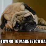 Sad Dog | STILL TRYING TO MAKE FETCH HAPPEN. | image tagged in sad dog | made w/ Imgflip meme maker
