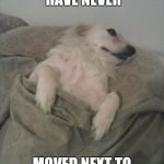 sleepy dog | WISH I WOULD HAVE NEVER MOVED NEXT TO A FRAT HOUSE | image tagged in sleepy dog | made w/ Imgflip meme maker