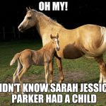 horses | OH MY! DIDN'T KNOW SARAH JESSICA PARKER HAD A CHILD | image tagged in horses | made w/ Imgflip meme maker