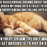 sleeping orange cat | I HAVE REOCCURRING DREAMSABOUT HAVING TO REACH MY HAND INTO A TOILET TO STOP IT FROM OVERFLOWING AND FALLING INTO A URINAL AND IN EVERY DRE | image tagged in sleeping orange cat | made w/ Imgflip meme maker