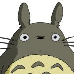 Totoro meme