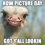 Funny Ostrich | HOW PICTURE DAY GOT Y'ALL LOOKIN | image tagged in funny ostrich | made w/ Imgflip meme maker