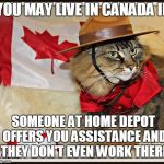 Canada Cat | YOU MAY LIVE IN CANADA IF SOMEONE AT HOME DEPOT OFFERS YOU ASSISTANCE AND THEY DON'T EVEN WORK THERE | image tagged in canada cat | made w/ Imgflip meme maker