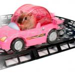 hamster car