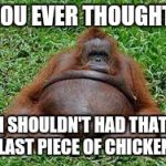 Pregnant monkey | YOU EVER THOUGHT I SHOULDN'T HAD THAT LAST PIECE OF CHICKEN | image tagged in pregnant monkey | made w/ Imgflip meme maker