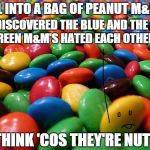 listen to the yellow M&M | FELL INTO A BAG OF PEANUT M&M'S DISCOVERED THE BLUE AND THE GREEN M&M'S HATED EACH OTHER I THINK 'COS THEY'RE NUTS! | image tagged in mm's,memes,funny memes,racism | made w/ Imgflip meme maker