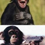Monkeys meme
