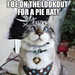 Spangles | I BE ON THE LOOKOUT FOR A PIE RAT! | image tagged in memes,spangles | made w/ Imgflip meme maker