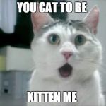 omg cat 1 | YOU CAT TO BE KITTEN ME | image tagged in omg cat 1 | made w/ Imgflip meme maker