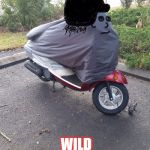 Scooterhead | BORN TO BE WILD | image tagged in scooterhead | made w/ Imgflip meme maker