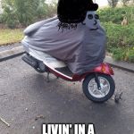 Scooterhead | JUST A SMALL TOWN GIRL LIVIN' IN A LONELY WORLD | image tagged in scooterhead | made w/ Imgflip meme maker