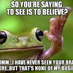 A Clever Title | SO YOU'RE SAYING TO SEE IS TO BELIEVE? HMMM...I HAVE NEVER SEEN YOUR BRAIN BEFORE..BUT THAT'S NONE OF MY BUSINESS | image tagged in something funny,poetic frog | made w/ Imgflip meme maker