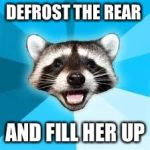 raccoon | DEFROST THE REAR AND FILL HER UP | image tagged in raccoon | made w/ Imgflip meme maker