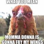 Chicken Brod | WHAT YOU MEAN MOMMA DONNA IS GONNA FRY MY WINGS | image tagged in chicken brod | made w/ Imgflip meme maker