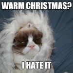 Cold grumpy cat  | WARM CHRISTMAS? I HATE IT | image tagged in cold grumpy cat  | made w/ Imgflip meme maker