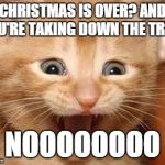 Excited Kitten | CHRISTMAS IS OVER? AND YOU'RE TAKING DOWN THE TREE? NOOOOOOOO | image tagged in excited kitten | made w/ Imgflip meme maker