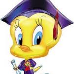 Tweety Bird:  Graduate