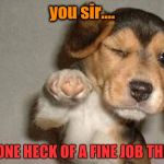 Pointing puppy | you sir.... DID ONE HECK OF A FINE JOB THERE!! | image tagged in pointing puppy | made w/ Imgflip meme maker
