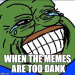 Laughing PEPE | WHEN THE MEMES ARE TOO DANK | image tagged in laughing pepe,dank,dank meme,pepe the frog,420,420 blaze it | made w/ Imgflip meme maker