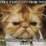 Rough year | ONLY 4 DAYS LEFT FROM THIS EMOTIONAL,DEPRESSED,ROUGH, YEAR | image tagged in messed up cat | made w/ Imgflip meme maker
