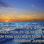 Beach | People love in many different ways, now its up to you to decide how you want to be loved            -Windtree Juniper | image tagged in beach | made w/ Imgflip meme maker