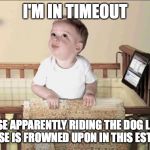Frowned Upon in this Establishment | I'M IN TIMEOUT BECAUSE APPARENTLY RIDING THE DOG LIKE IT'S A SMALL HORSE IS FROWNED UPON IN THIS ESTABLISHMENT! | image tagged in frowned upon in this establishment | made w/ Imgflip meme maker