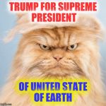 Trump  | TRUMP FOR SUPREME PRESIDENT OF UNITED STATE OF EARTH | image tagged in trumpy cat 2 | made w/ Imgflip meme maker