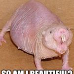 Mirror | SO AM I BEAUTIFUL? | image tagged in mirror | made w/ Imgflip meme maker