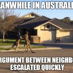 Kangaroo fight | MEANWHILE IN AUSTRALIA... AN ARGUMENT BETWEEN NEIGHBOURS ESCALATED QUICKLY | image tagged in kangaroo fight | made w/ Imgflip meme maker