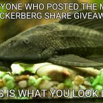 sucker fish | EVERYONE WHO POSTED THE MARK ZUCKERBERG SHARE GIVEAWAY THIS IS WHAT YOU LOOK LIKE | image tagged in sucker fish | made w/ Imgflip meme maker