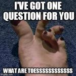 Sister's Toes | I'VE GOT ONE QUESTION FOR YOU WHAT ARE TOESSSSSSSSSSSS | image tagged in sister's toes | made w/ Imgflip meme maker