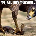 Eagle and Snake | MUTATE THIS MONSANTO | image tagged in eagle and snake | made w/ Imgflip meme maker
