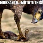 Eagle and Snake | MONSANTO...
MUTATE THIS! | image tagged in eagle and snake | made w/ Imgflip meme maker