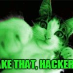 Fight against hackers | TAKE THAT, HACKERS! | image tagged in raycat fighting hackers,memes,imgflip | made w/ Imgflip meme maker