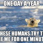 Polar Bear Swim | ONE DAY A YEAR THESE HUMANS TRY TO BE ME FOR ONE MINUTE | image tagged in polar bear swim,ice bucket challenge,new year,memes | made w/ Imgflip meme maker