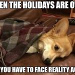 Sad Dog | WHEN THE HOLIDAYS ARE OVER AND YOU HAVE TO FACE REALITY AGAIN | image tagged in sad dog | made w/ Imgflip meme maker