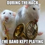 Not sure a saxophone and French horn qualifies as a band though... | DURING THE HACK THE BAND KEPT PLAYING | image tagged in musical animals,imgflip hack,band,music | made w/ Imgflip meme maker