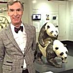 bill nye pandas