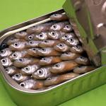 Sardines