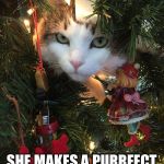 Christmas tree cat | SHE MAKES A PURRFECT ORNAMENT. | image tagged in christmas tree cat | made w/ Imgflip meme maker
